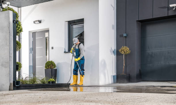 Best Solar Panel Cleaning  in Harper, TX